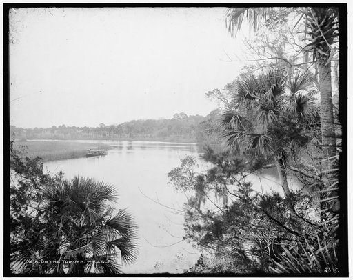 On the Tomoka