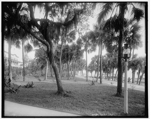 Hotel Rockledge