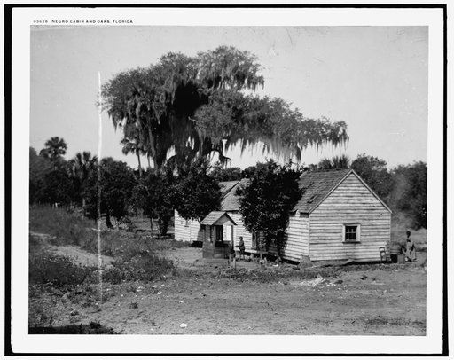 Negro cabin and oaks, Florida