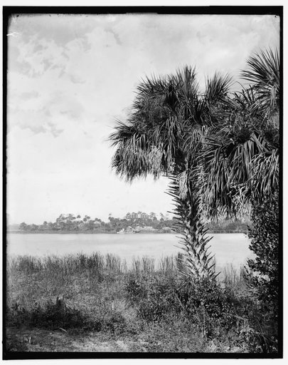 Landing at Eau Gallie, The