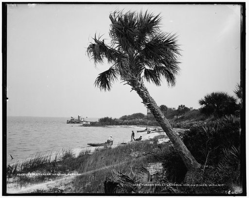 Turkey Creek Landing, Indian River