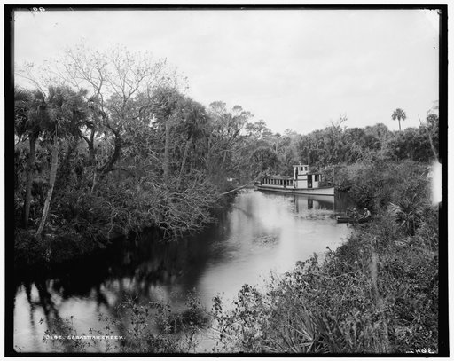 Sebastian Creek
