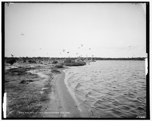 Pelican Island, Indian River