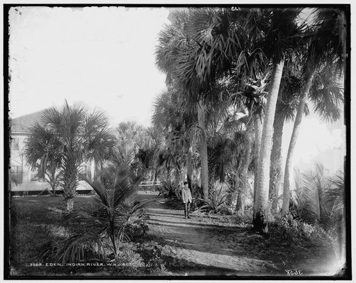 Hotel at] Eden, Indian River