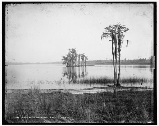Lake Louise near Seville, Fla.