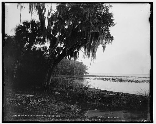 On the St. Johns near Beresford