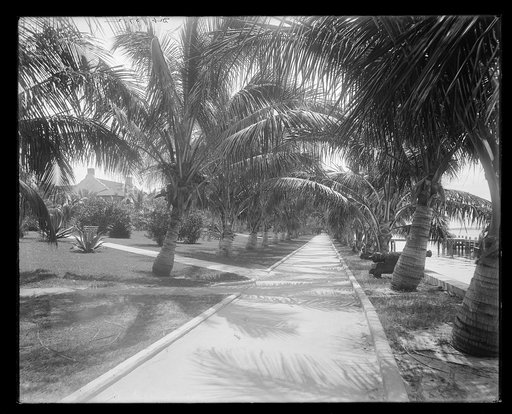 Palm Beach walk, Palm Beach, Fla.