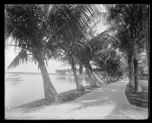 Palm Beach walk, Palm Beach, Fla.