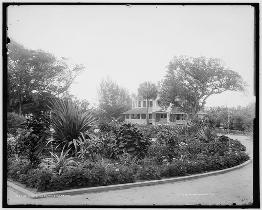 Cragin's flower garden