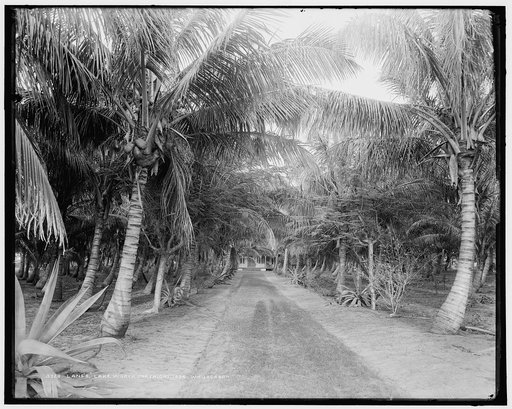 Lane's, Lake Worth