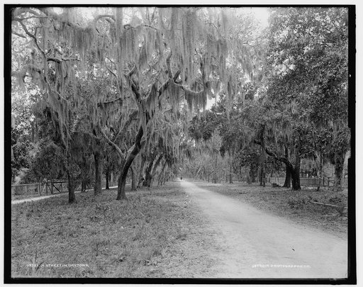 Street in Daytona, A