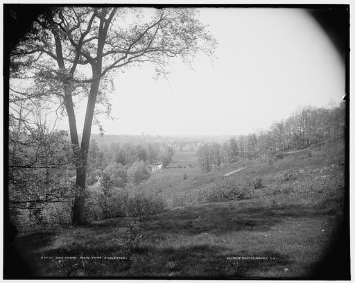 Ann Arbor, view from boulevard