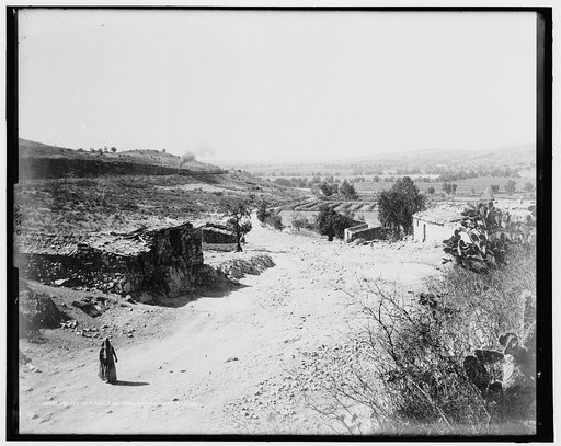 Valley of Mexico so[uth] from Barrientos, Mexico