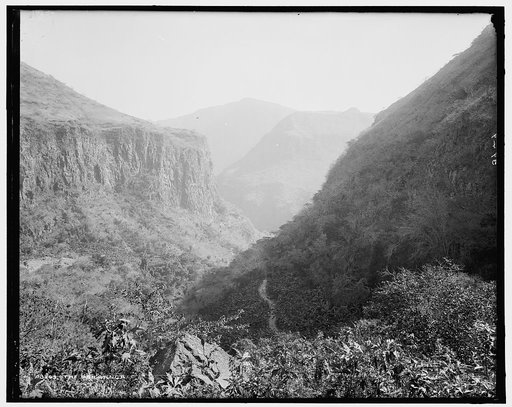 The Barranca