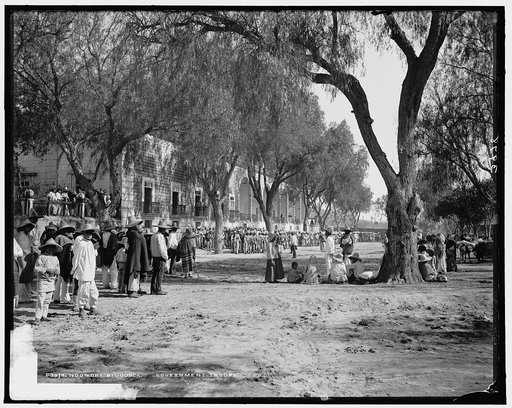 Hacienda Peotillos:] Noonday bivouack, government troops