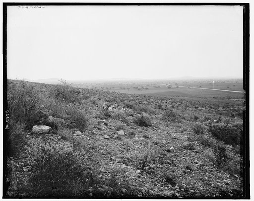 Panorama near Cerritos
