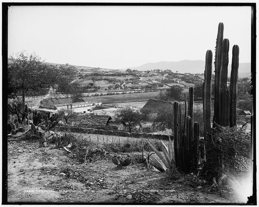 Cardenas