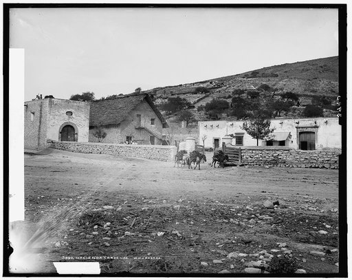 Hacienda Cardenas