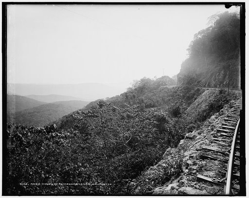 Near mouth of Temasopa [sic] Canon