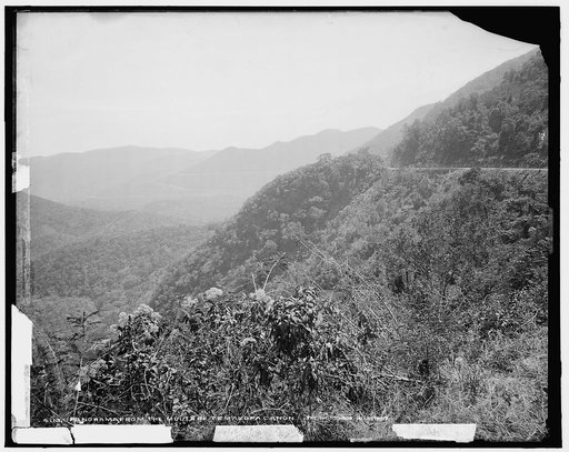 Panorama from the mouth of Temasopa [sic] Canon