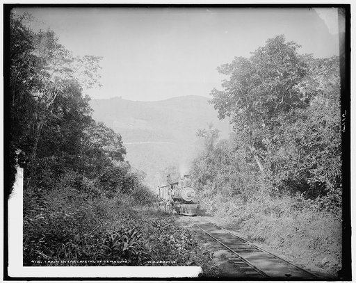 Train in Cafetal of Temasopa [sic