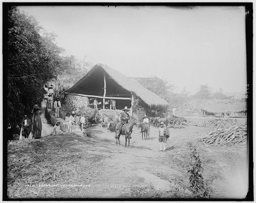 Sugar mill at Temasopa [sic