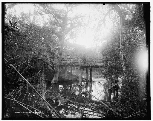 Bridge at Crucitas