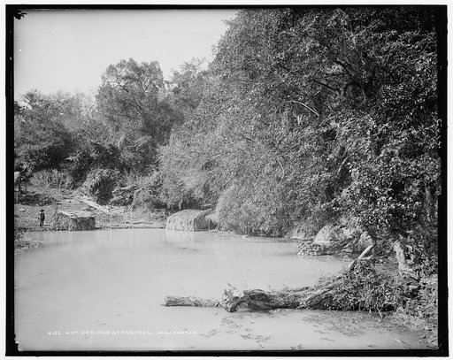 Hot springs at Taninul