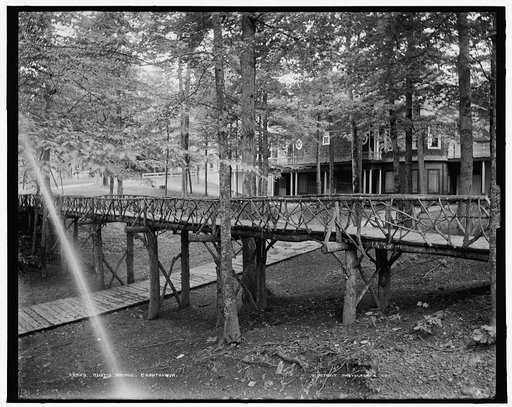 Rustic bridge, Chautauqua