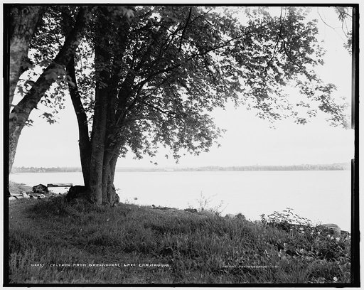 Celeron [i.e. Celoron] from Greenhurst, Lake Chautauqua