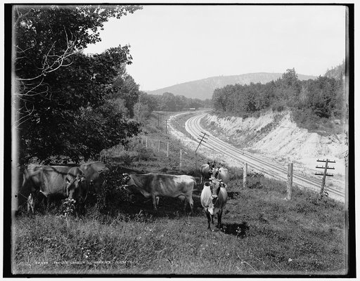 Devil's Lake, Wis., Hopkin's jerseys