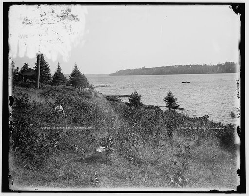 St. Croix Lake, looking up