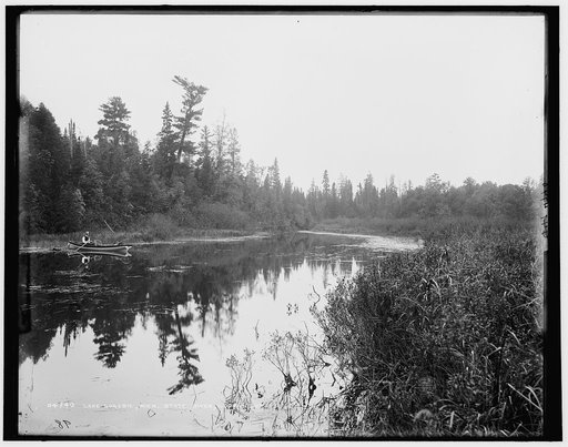 Lake Gogebic, Mich., State River, looking up