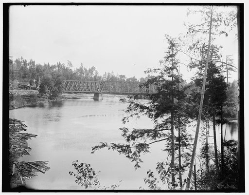 Quinnesee [sic] Falls, Mich., the river above the falls