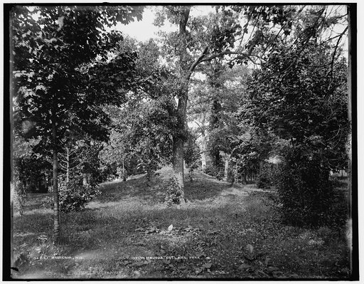 Waukesha, Wis., Indian mounds, Cutler's Park