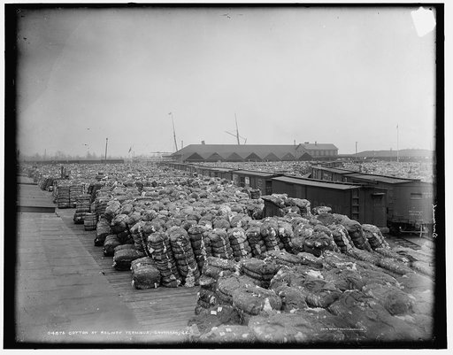 Cotton at railway terminus, Savannah, Ga.