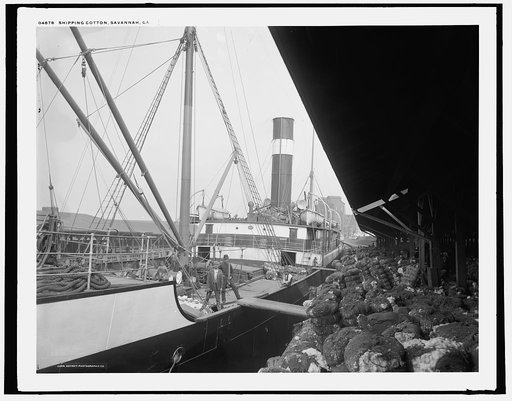 Shipping cotton, Savannah, Ga.