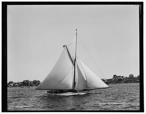 Saracen