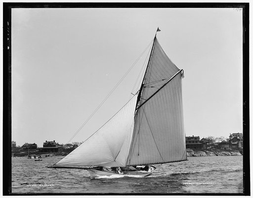 Saracen