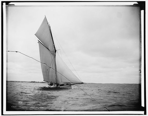 Puritan