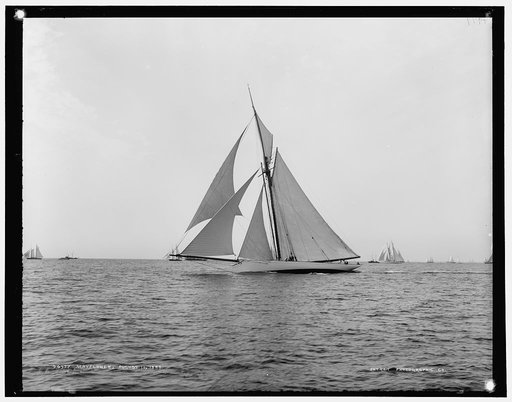 Mayflower