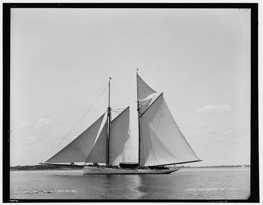 Mayflower