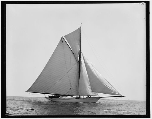 Milicete