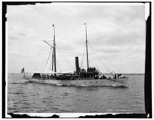Shearwater