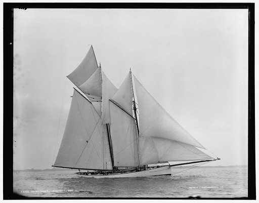 Mayflower
