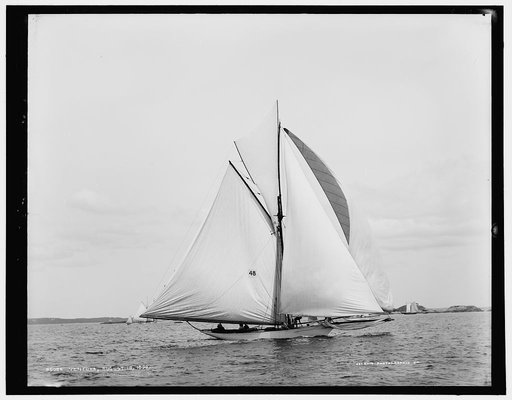 Ventura