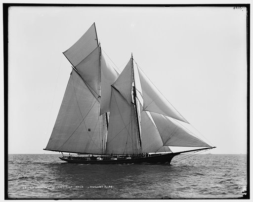 Fortuna, Goelet Cup Race