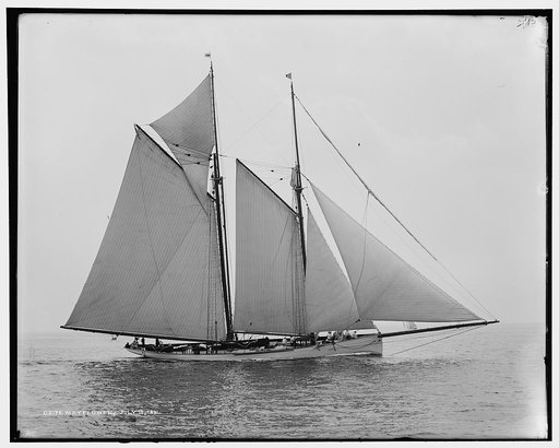 Mayflower