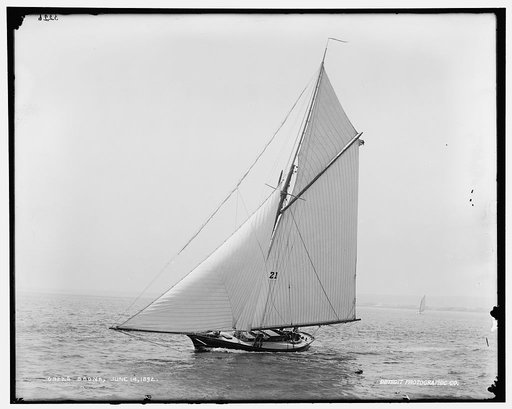 Saona
