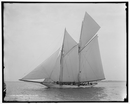 Alcaea